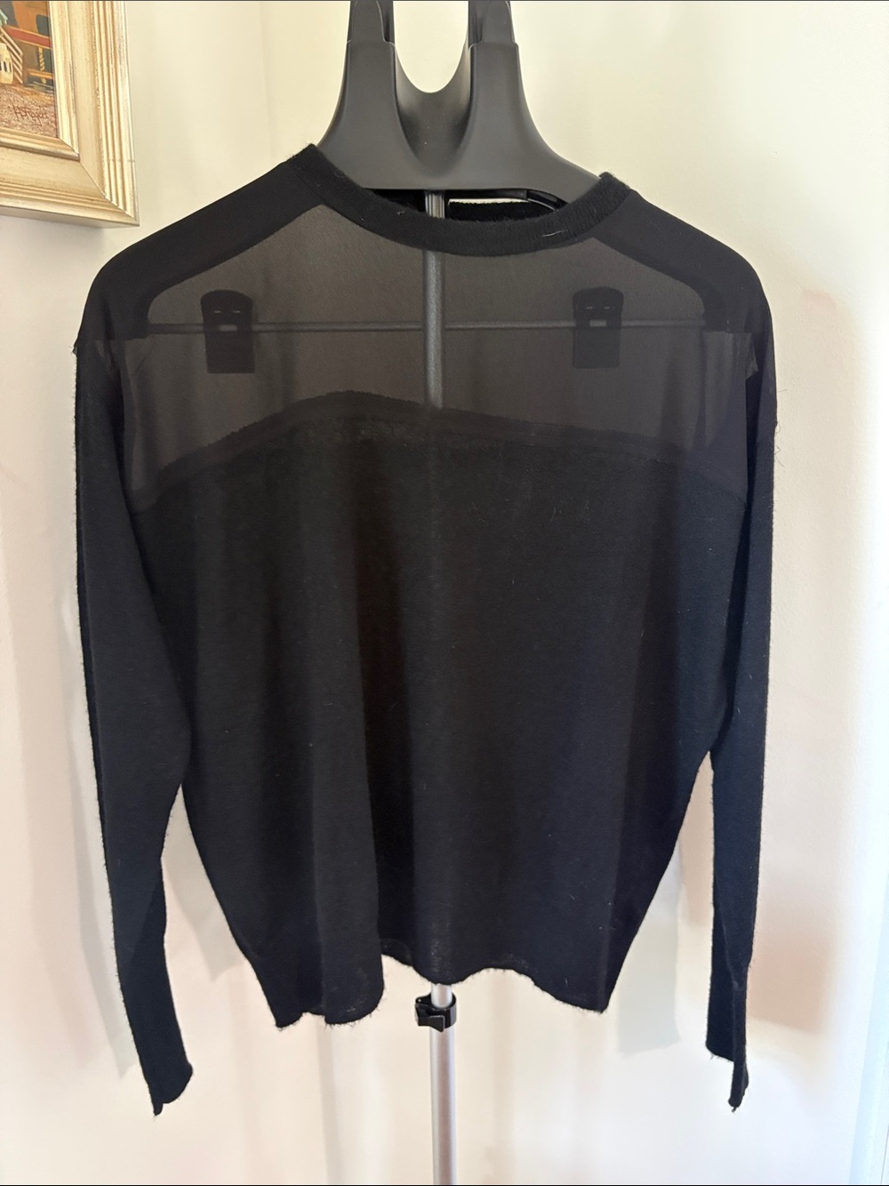 Zara Mesh Round Neck Black Long Sleeve Lightweight Small Fairy Grunge Goth